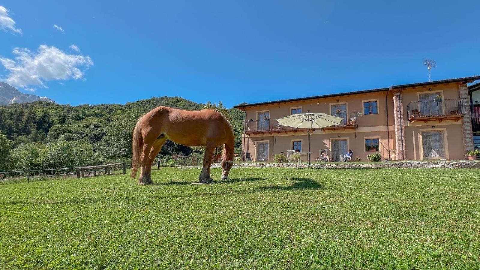 Ranch Enbruca Apartment Boves Exterior foto